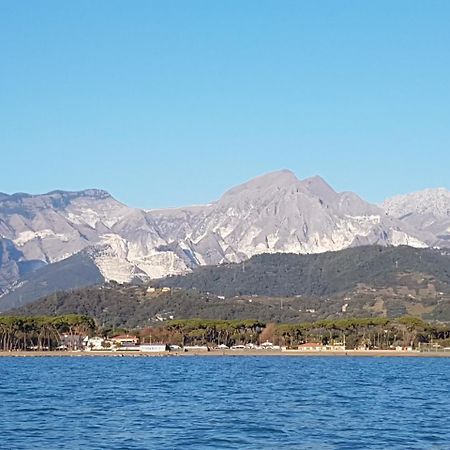 Camping Luna Otel Marina di Massa Dış mekan fotoğraf